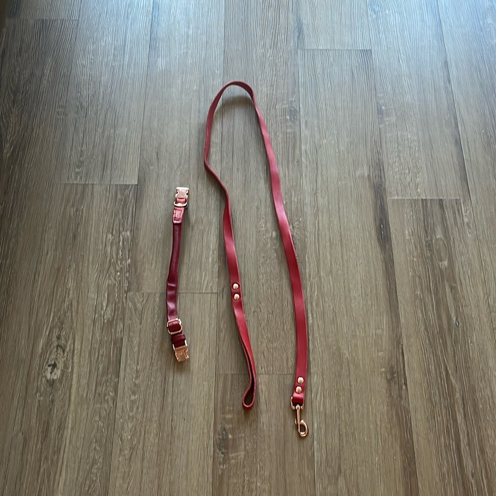Barely used leather collar and leash with rose gold hardware.